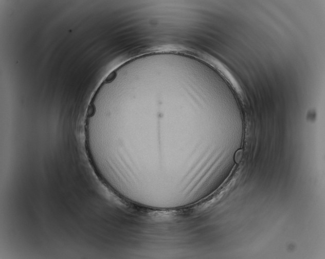 X0000102500810200809051344