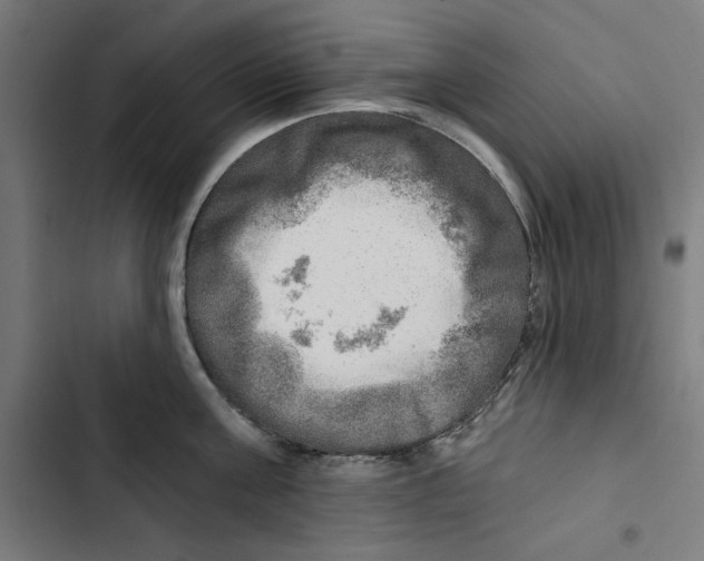 X0000102500811200809051344