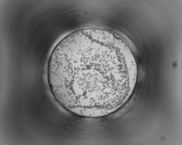 X0000102500812200809051344