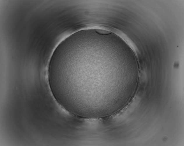 X0000102500813200809051344