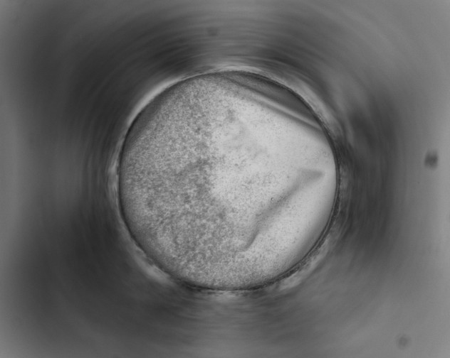 X0000102500814200809051344