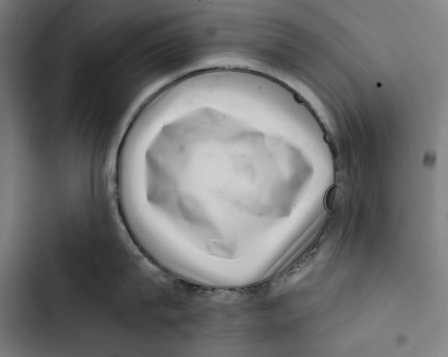 X0000102500815200809051344