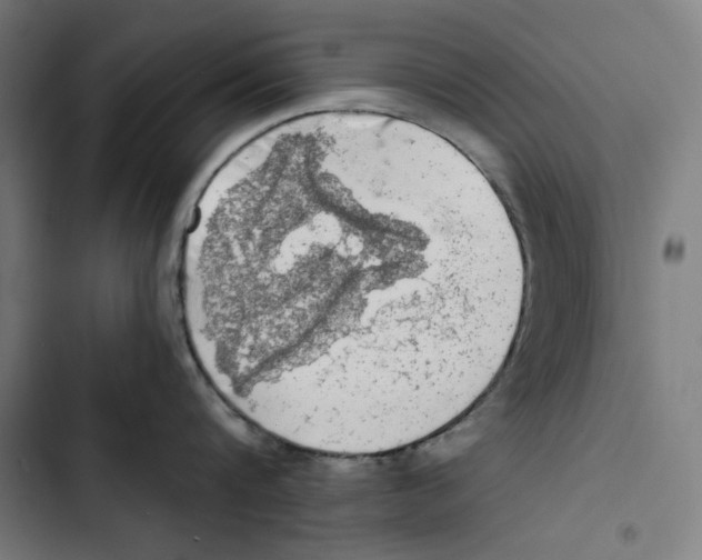 X0000102500816200809051344