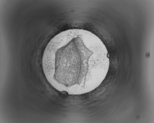 X0000102500817200809051343