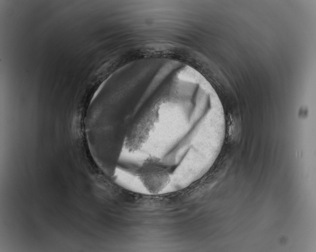 X0000102500819200809051343