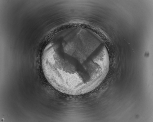 X0000102500821200809051343