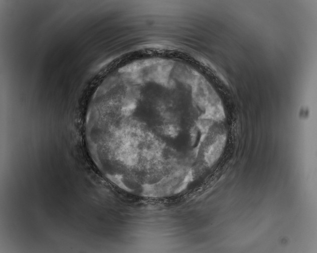 X0000102500822200809051343