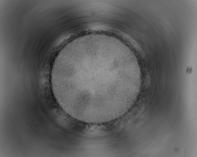 X0000102500824200809051343