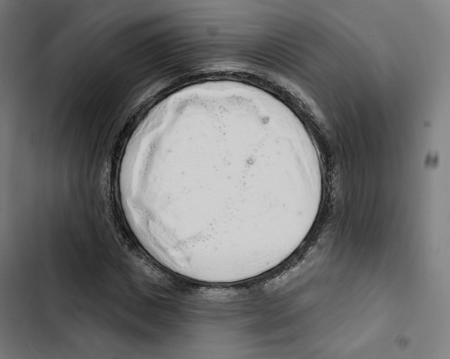 X0000102500825200809051343