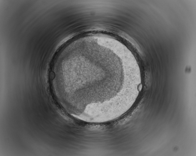 X0000102500826200809051343