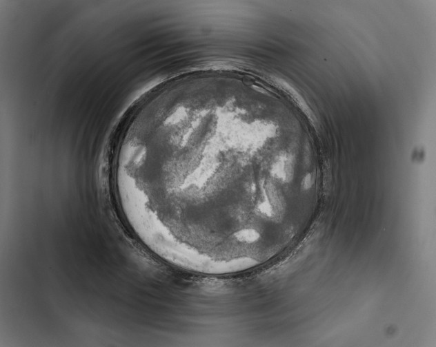 X0000102500827200809051343