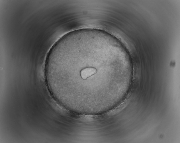 X0000102500828200809051343