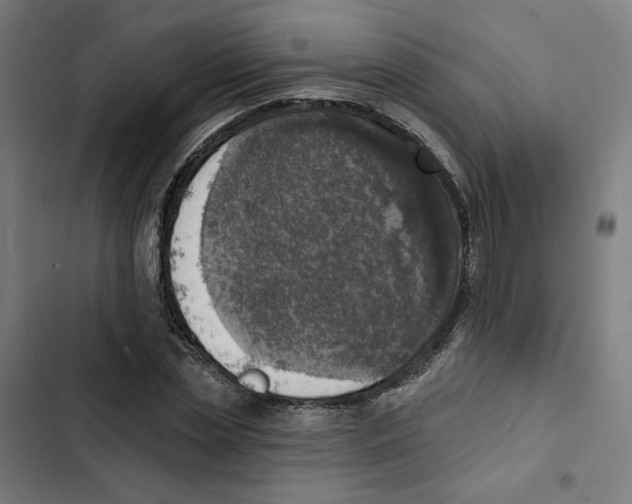 X0000102500829200809051343