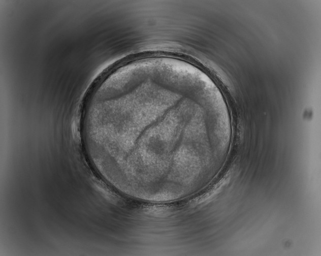 X0000102500830200809051343