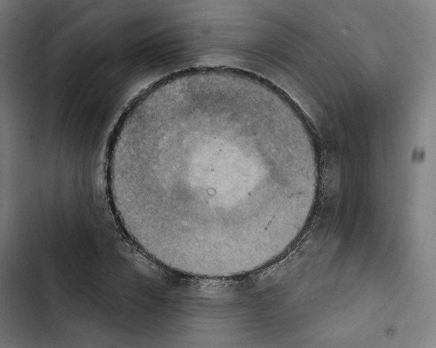 X0000102500832200809051343