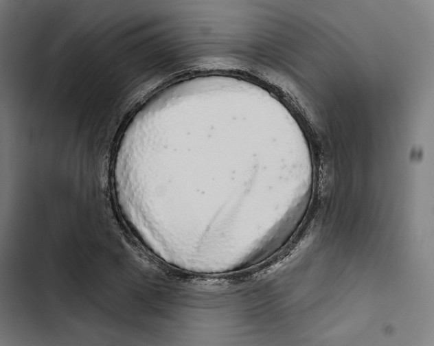 X0000102500833200809051343