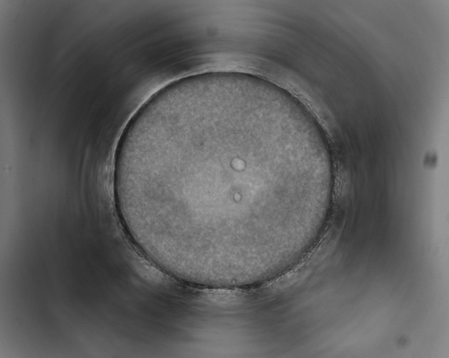 X0000102500836200809051344