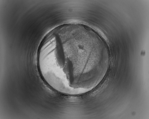 X0000102500839200809051344