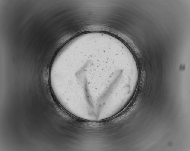 X0000102500841200809051344