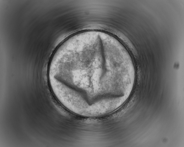 X0000102500842200809051344