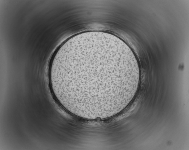 X0000102500843200809051344