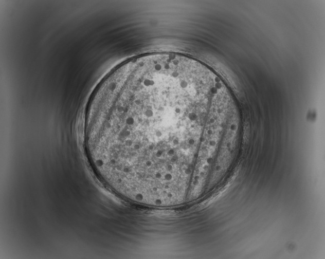 X0000102500844200809051344