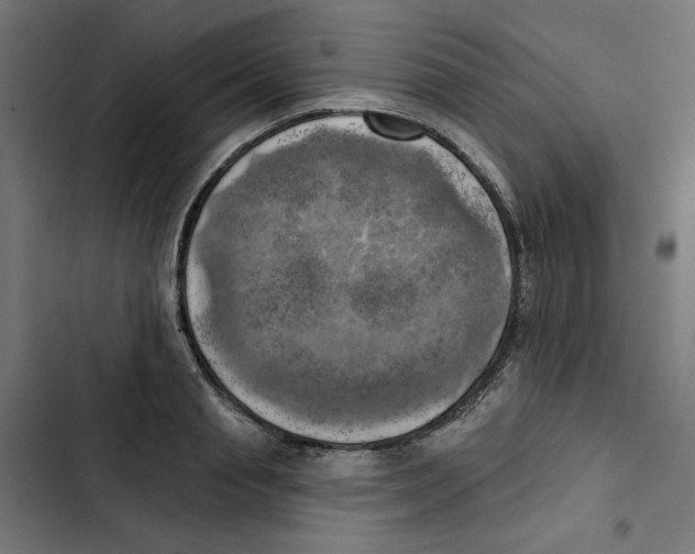 X0000102500845200809051344