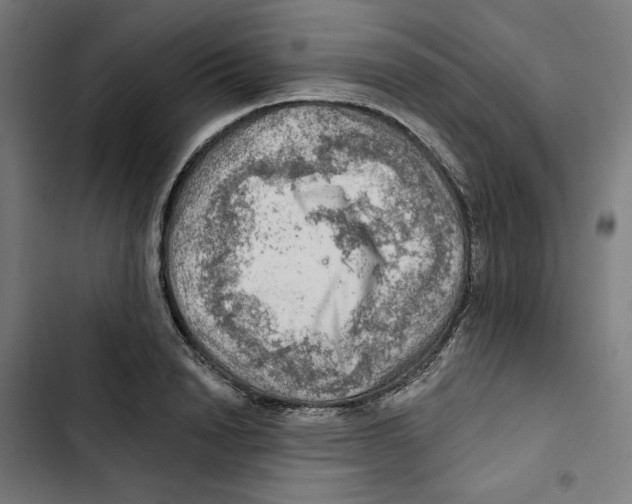 X0000102500846200809051344