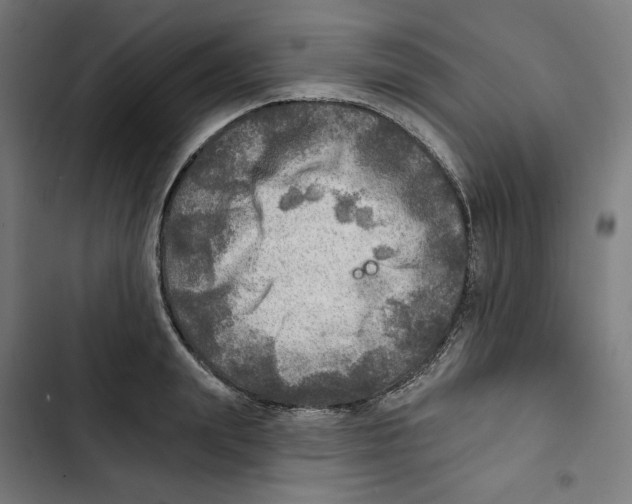 X0000102500847200809051344