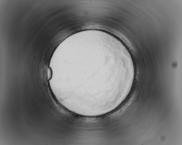 X0000102500849200809051344