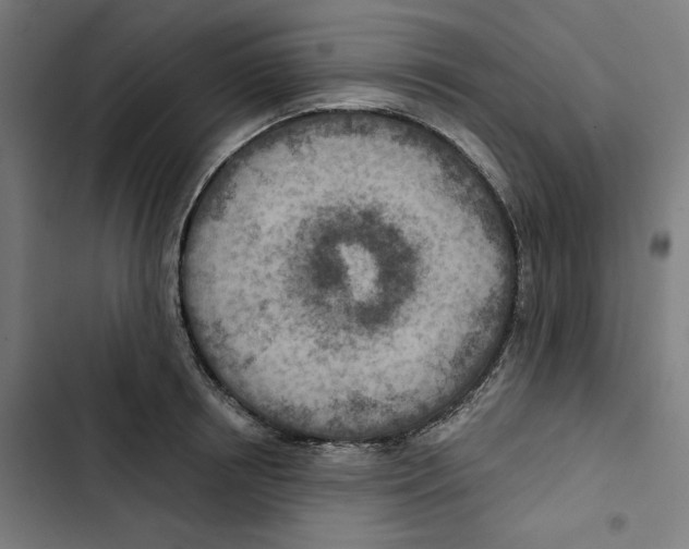 X0000102500850200809051344