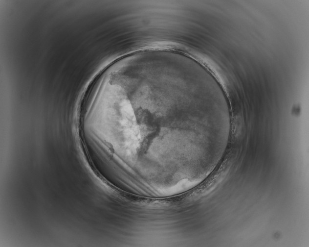 X0000102500851200809051344