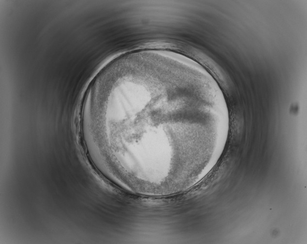 X0000102500852200809051344