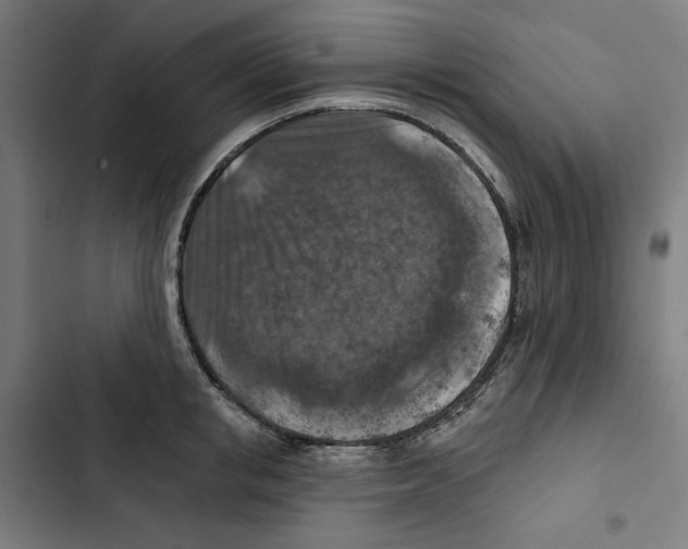 X0000102500853200809051344