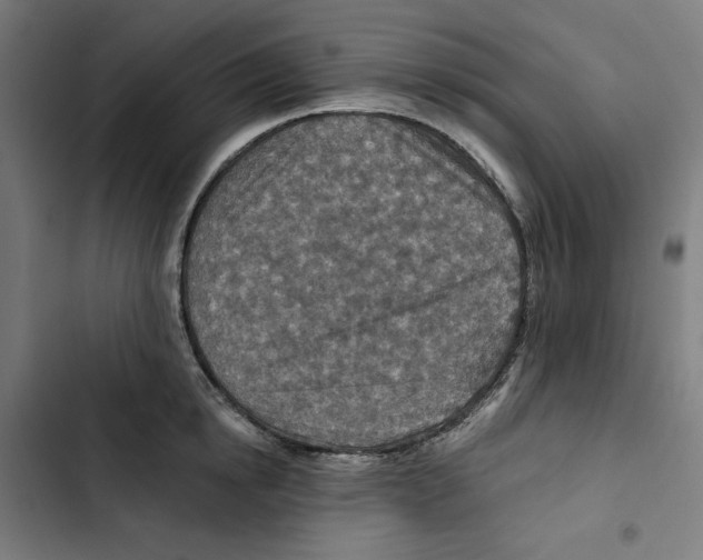 X0000102500854200809051344