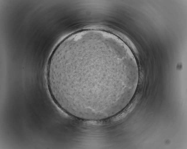 X0000102500855200809051344