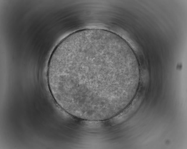 X0000102500856200809051344