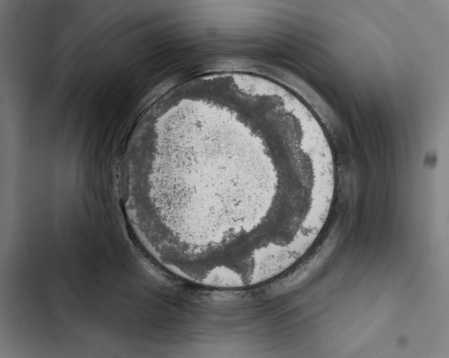 X0000102500857200809051344