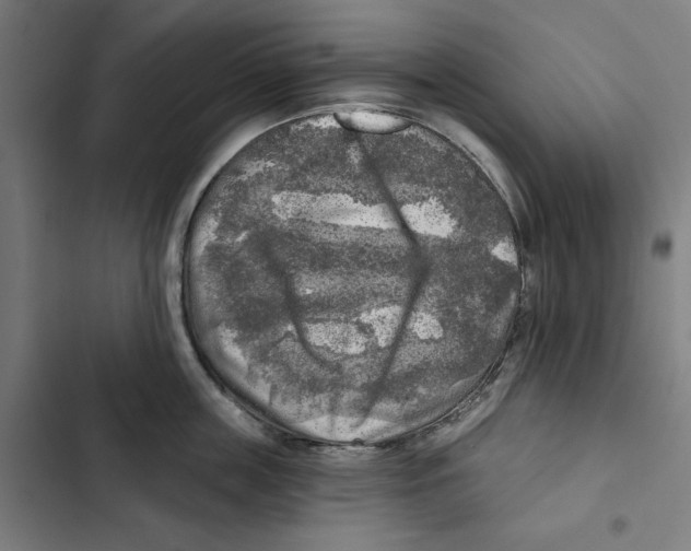 X0000102500859200809051344