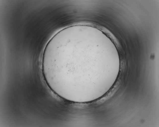 X0000102500860200809051344