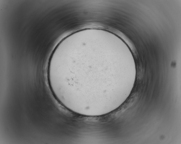 X0000102500861200809051344