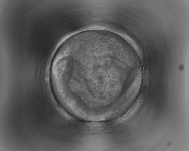 X0000102500862200809051344