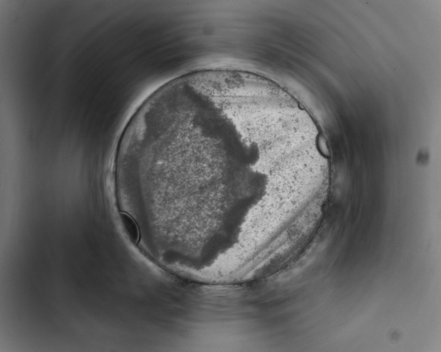 X0000102500863200809051344