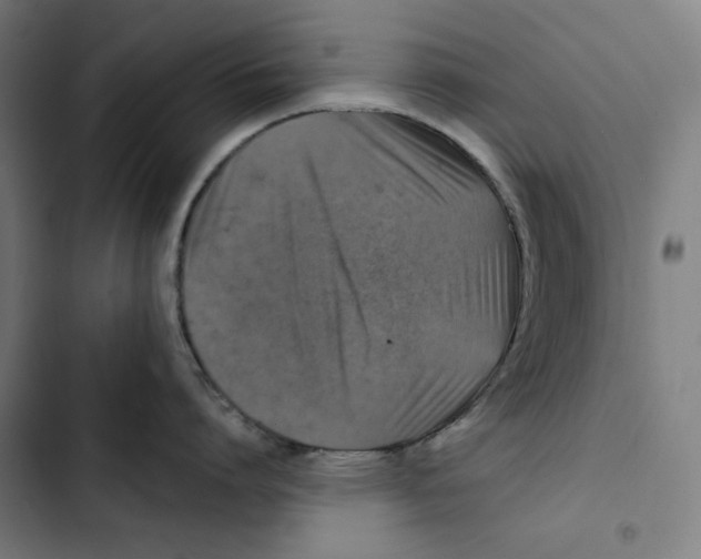 X0000102500864200809051344