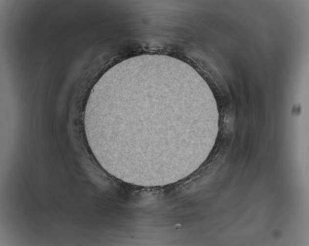 X0000102500865200809051343