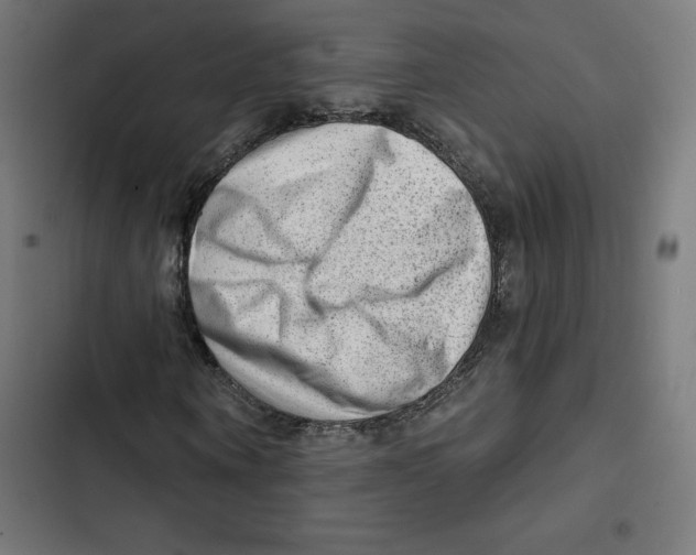 X0000102500866200809051343