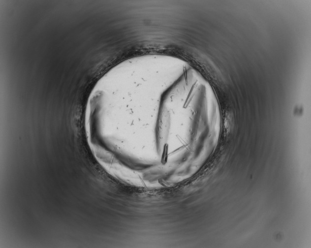 X0000102500867200809051343