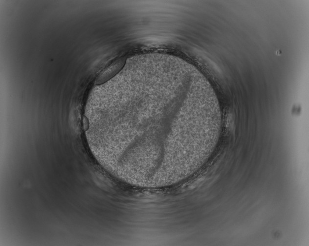 X0000102500868200809051343