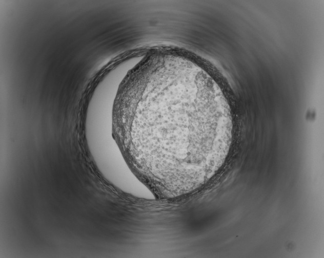 X0000102500871200809051343