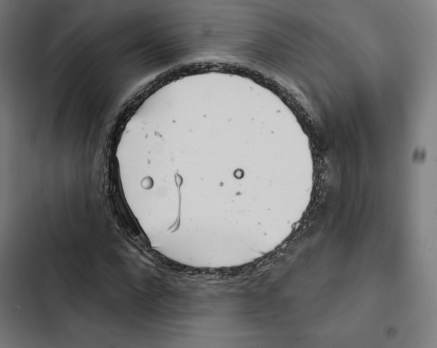 X0000102500872200809051343